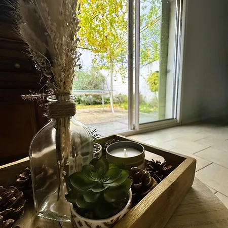 Les Iles D'ici